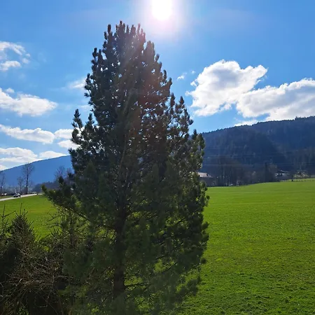 Palfengut Altenmarkt im Pongau