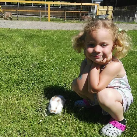 Palfengut Appartement *