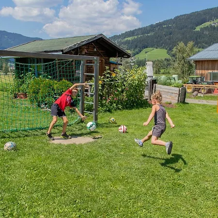 Apartmán Palfengut *