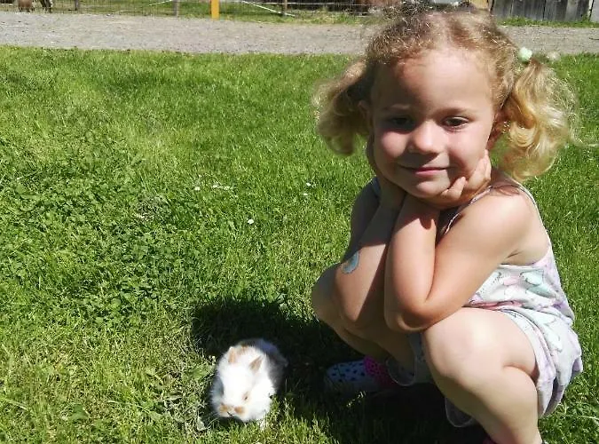 Palfengut Apartment *